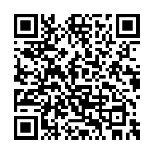 叫这位久居深宫的小表妹羡慕得眼睛直冒小星星二维码生成