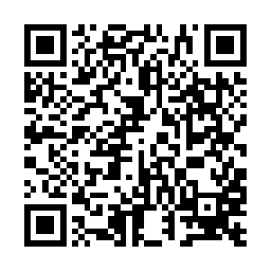 可为什么一旦真正站在镜头前自己就不会演戏了呢二维码生成