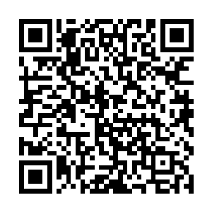 可为什么夏云杰似乎一眼就看透他的问题是在耳朵呢二维码生成