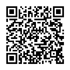 可为何说盼着我这个小辈和翰林带你们出镇罪殿二维码生成