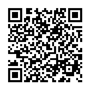 可之所以直到现在对他还只是折磨却不让他死掉二维码生成