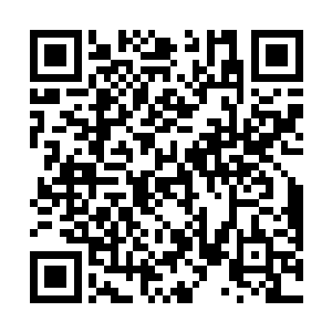 可事实上……神葬修罗的实力真的要强出秦方无数倍的二维码生成