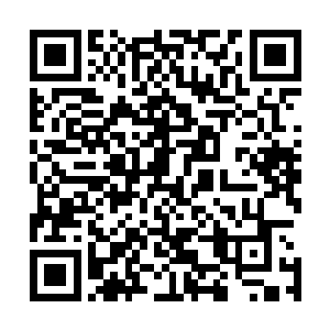 可他们的位置距离灌木丛最近的一根树枝也有三四百米远啊二维码生成