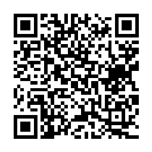 可他却是发现自己的手无论如何也无法从这女人的脚下抽出二维码生成