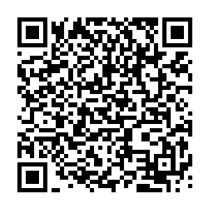 可他却眼睁睁的看着你昨天为了品酒大会的事情愁眉苦脸一天也没告诉你二维码生成