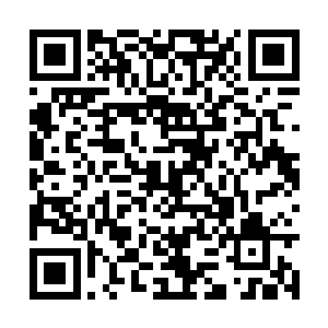 可他在神王境界时就杀了不少神王座上的绝代神王二维码生成