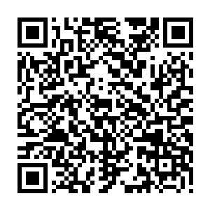 可他想象中的某个巫者把两只火蚁撕成几截又剖开又碾碎的情景并没有出现二维码生成