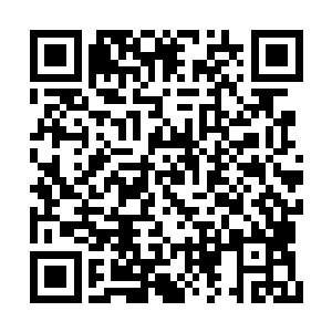 可他的小地图上却清晰无比的可以侦测到他们的二维码生成