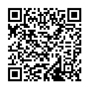 可以任意把这种数量的死去觉醒者复活回来的话二维码生成