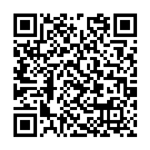 可以再……制造出一个和我们一样的漏洞者出来吧二维码生成