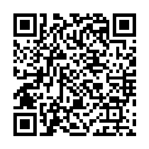 可以清晰看到上面纵横交错缠满了一缕缕鲜艳欲滴的血纹二维码生成