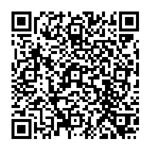 可以清楚的看到这条道路就像一条璀璨的光炼把老城区和新城区的北半块包揽进来二维码生成