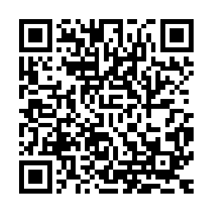 可以现在当着诸位长老的面就让我检查一下你们两个人的识海二维码生成