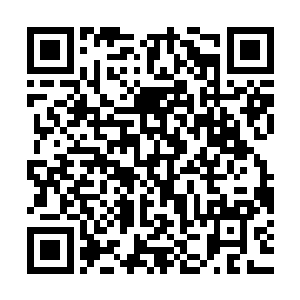 可以用其爬行路上生长出来的狗尿苔混合蜱鬼虫惧怕的针蜂捣酱二维码生成