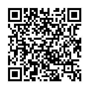 可以知道现代它们都还没有灭绝……算是极少数活了几百万二维码生成