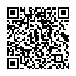 可以确定白师兄也不知道焰金主让他这么做的原因了二维码生成
