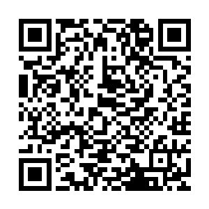 可以让一个家族长老在这里安心修炼五十年而不会有任何的缺乏二维码生成