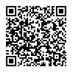 可以说他是凭借着自己的一手之力为布拉德规划出了一条巨星之路二维码生成