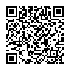 可以轻而易举地刺破天海家的神器――六御神甲二维码生成