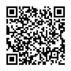 可你怎么又当了林锦楼的小妾了呢……他那人风流成性二维码生成