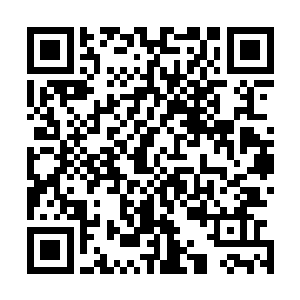 可偏偏他没办法将它弄出来……眼看着剩下的时间也不多了二维码生成