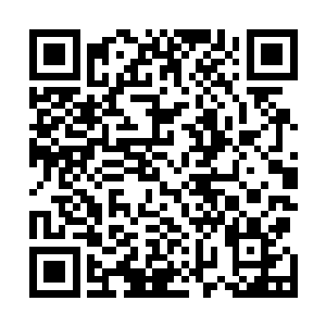 可偏偏谷一在意识到战傅羽难缠的时候就已经没有了战意二维码生成