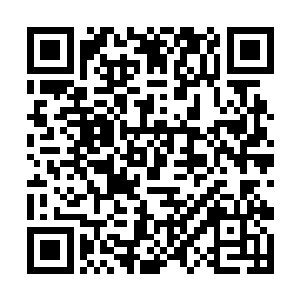 可却还从来没有像现在这样紧张过鼎定仙域全文阅读二维码生成