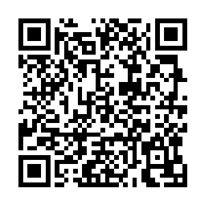 可又怕自己这样的动作会导致那些莲子不会继续成熟下去二维码生成