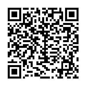 可坐诊河南的为主钦差无形中却肯定是曾毅这个少年无疑二维码生成