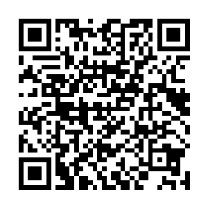 可夏天害怕了怕的不是狼而是枪声以及不许动的喝令声二维码生成