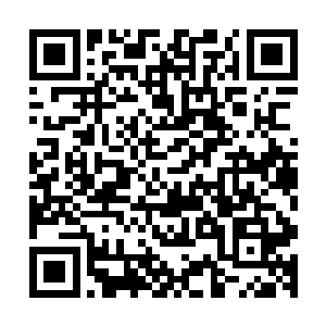 可如今出现了这么一副戏剧化的场景……让他颇有些措手不及二维码生成