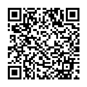 可如果碧落主宰和斗天主宰都以同样的方式参与进来二维码生成