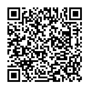可就是这养生的拳法竟然将他们二十个身手算得上不凡的人晕头转向二维码生成