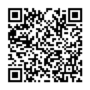 可并没有教你们将黑风之后的杂质排出体外的方法二维码生成