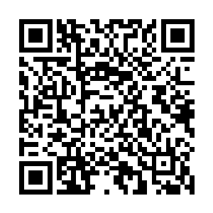 可当他们看到苏林的丹青队已经俘获了其他小队的队员二维码生成