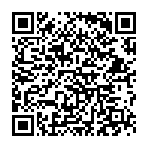 可怕爆炸所制造的冲击波几乎将那片土地上的虫子连着地面一同抹灭二维码生成