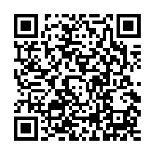 可怕的轰鸣声和刺眼的光芒让周围真传弟子们下意识的闭上了眼二维码生成