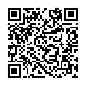 可怜的二皇子……他气得将水晶记忆果实砸到地上二维码生成