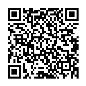 可怜的墨小宝在他父王眼中不仅是收拾烂摊子的人选二维码生成