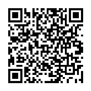 可怜的寒冬刺客从此从风光无限的费南刺客第一人二维码生成