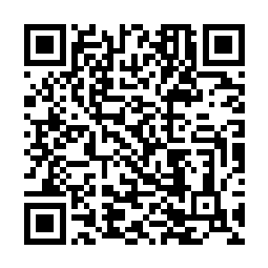 可惜吴某对仙灵界和诸多洞天世界的家族和天才修士二维码生成