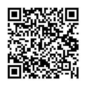 可惜小孟从千里眼记忆里窥探到的神通功法属于半残缺二维码生成