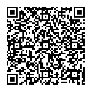 可惜我佣兵之城的那张兽皮早年就被一位实力达到圣帝境界的大长老放置在城主大人留下的那座神殿中二维码生成