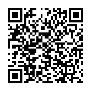 可拉扯之间帕翠西娅无意中动到了张东城腰间浴巾的结头二维码生成