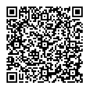 可昨晚飞在树林上空听了一夜的嘶吼声已经先给她提了个醒――这个世界远比她想象的要危险二维码生成