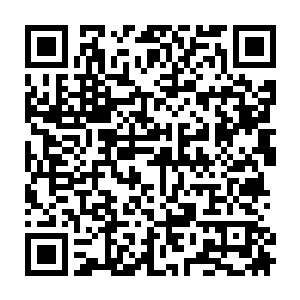 可是……我家里除了比较有钱之外也没什么了……我想你这样拥有神奇能力的人二维码生成