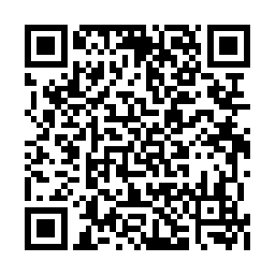 可是一双胖乎乎的小手却死死的抓住男人的衣领二维码生成