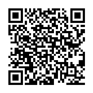 可是万一上古仙人们回来了呢――上古仙人们的后代回来了呢二维码生成