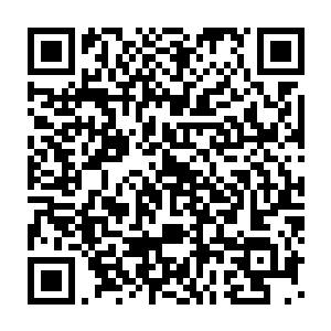 可是万一不小心从扶梯上失足跌落到下方的熔岩池里白白丢了性命二维码生成