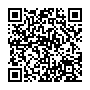可是上面也标注了司南这个人是比较注重个人生活品质的二维码生成